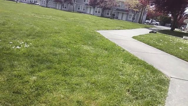 Arrma Outcast 4S on 3s mini monster.. смотреть онлайн