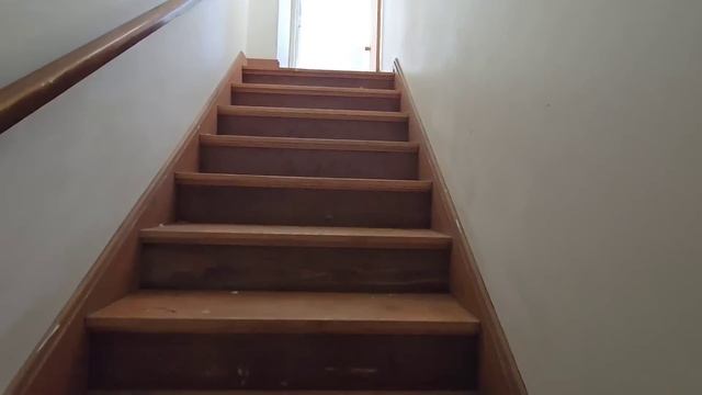 Trying To Become The Trashiest Landlord: Dumpster Business Investments смотреть онлайн