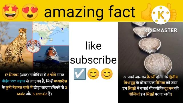 amazing facts for leopard and second World war 1 fact Raj 10M смотреть онлайн