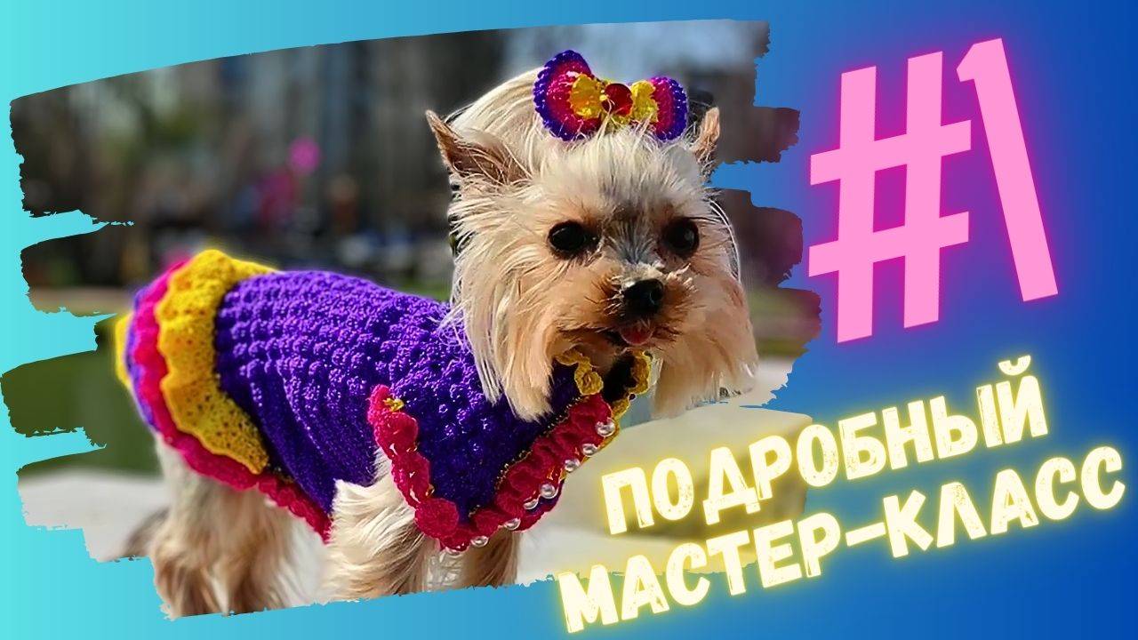 Платье для маленьких собак - Мастер-класс по вязанию крючком: часть 1 смотреть онлайн