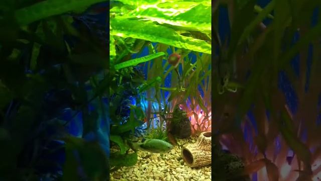 29 01 22 смотреть онлайн