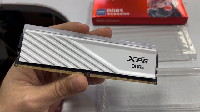 Ddr5