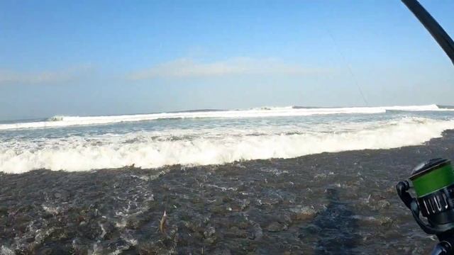 VIRAL‼️Mancing baby GT dengan menggunakan rangkaian TERBAIK pasti Pesta Strike // Dampuk Lure смотреть онлайн