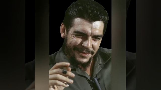 Свободная Беларусь смотреть онлайн
