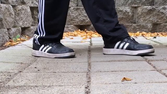 Adidas Hoops 2.0 | Adidas Shoes | Adidas