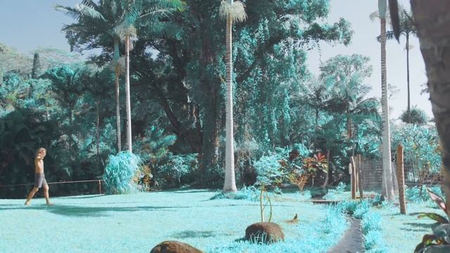 XXX COLOUR LUTs смотреть онлайн