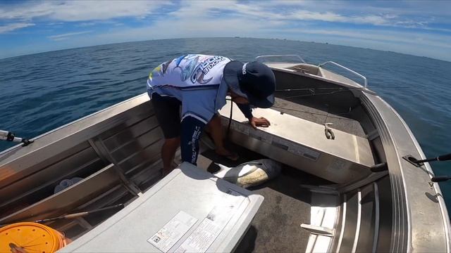 Hamachi rod test run/macky’s and trevs смотреть онлайн