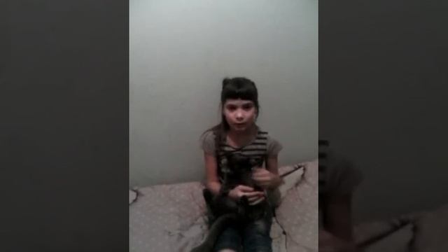 Мой любимый кот дымок смотреть онлайн