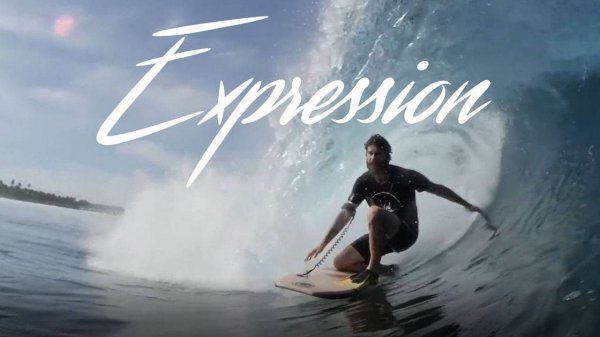 Expression - PARROSLAB GROUP