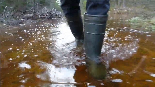 Rubber boots №191 - ЛУЖА ЛЕСНАЯ смотреть онлайн
