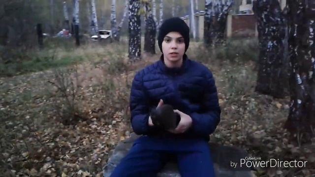 BaaS VS Ralf смотреть онлайн