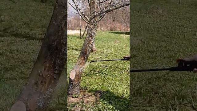 Для ДАЧНИКА - опрыскиватель! #greenworks #shorts #дача смотреть онлайн