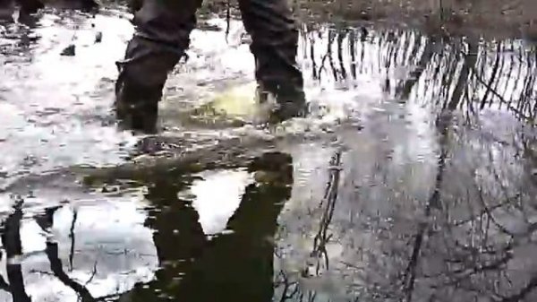 My SV. Deep flooding across Bush-alley swamp in my PVC DEMAR 3190 Grand  waders.