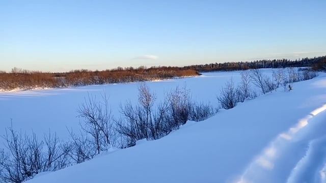 Жуковы ударили свадьбой по падающим просмотрам// Обзор видео// смотреть онлайн