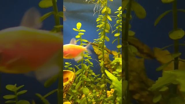 за стеклом смотреть онлайн