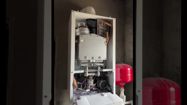 Работает на пропане из баллона конденсационный котел Haier GreenLine 1.20 Ti смотреть онлайн