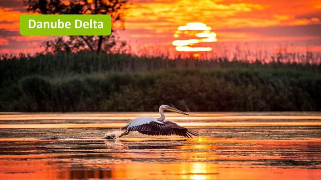 Why You Should See The Black Sea This Summer смотреть онлайн