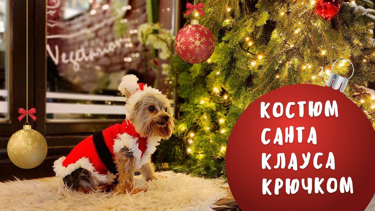 Новогодний костюм Санта Клауса для собаки крючком смотреть онлайн