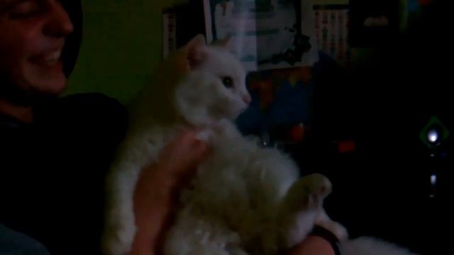 ты будешь моей кисой ;) смотреть онлайн