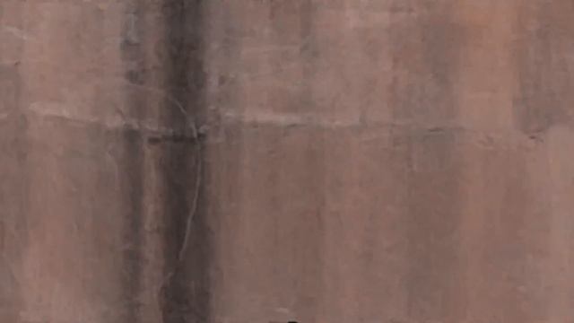 Korean Multimale | I Wanna Be Your Slave