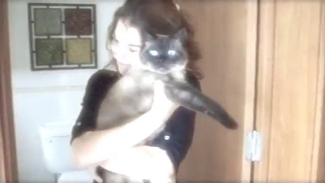 Intruder: Cat Hugger смотреть онлайн