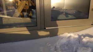 Панорамное окно (витраж алюминиевый) с дверью