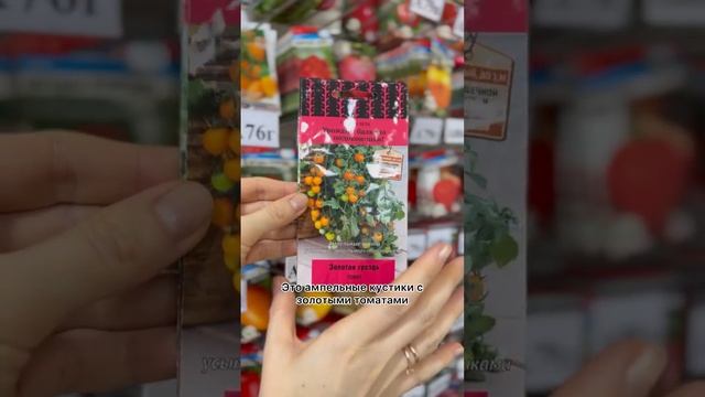 Желтые томаты| Пик приходящего сезона| Усадьба-Семена| Usadba-semena.ru