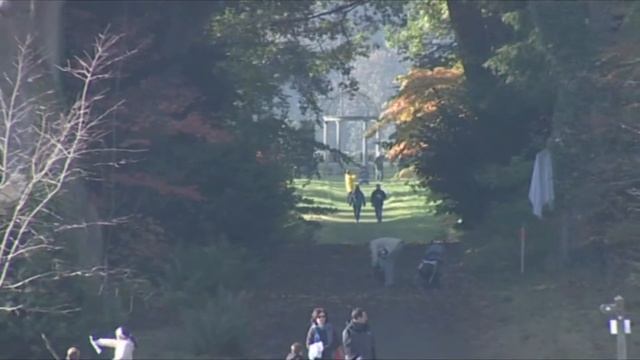 Thorp Perrow Arboretum & Bird of Prey Centre, Bedale смотреть онлайн