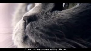 реклама «Sheba»  озвучено Ольгой Кравченко