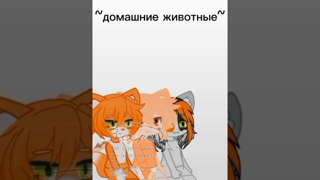 #мойгачанеприкапывася #отмечайте

💞для коллабов 💕