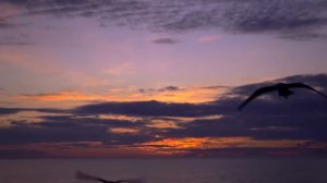 «Иван Бунин»: знакомим с теплоходом