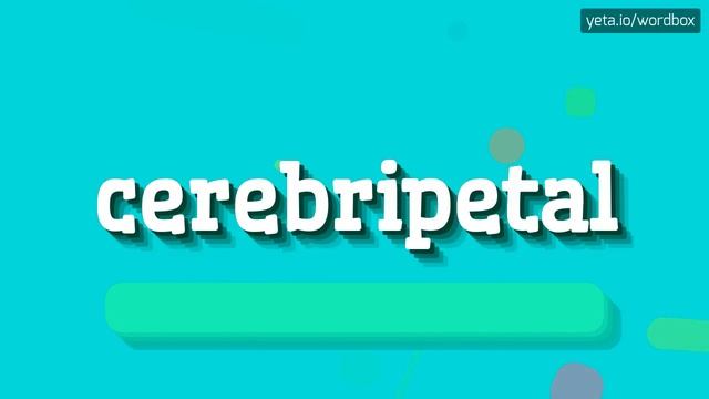 HOW TO PRONOUNCE CEREBRIPETAL? #cerebripetal смотреть онлайн