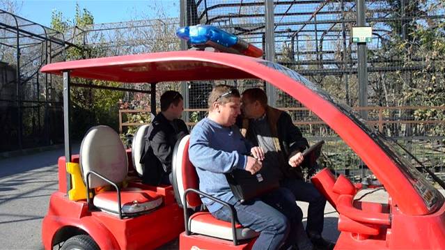 К тюленю Маэстро приехала очередная проверка ! смотреть онлайн