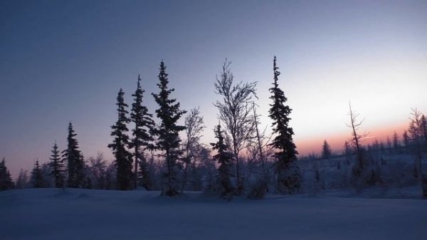 The Sight is White [Solar Fields - The Sight is White]