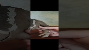 обзор на спинозавра маттел spinosaurus Mattel