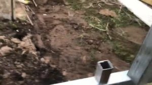 Сборка теплицы своими руками