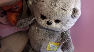 басик, Лëня и буся вернулись домой