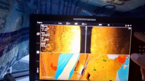 Mosaic Live ЗАПИСЬ ДНА ВОДОЁМА humminbird Solix , Apex