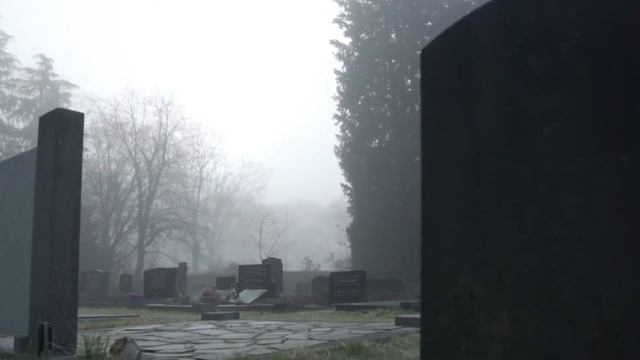 Болотная тварь. смотреть онлайн