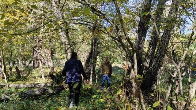 грибная охота в октябре вдоль реки Фарс, Адыгея