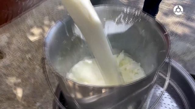 Полезные советы. Айран.