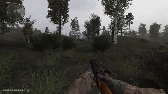 Momageddon Plays Stalker Anomaly for the First Time! смотреть онлайн