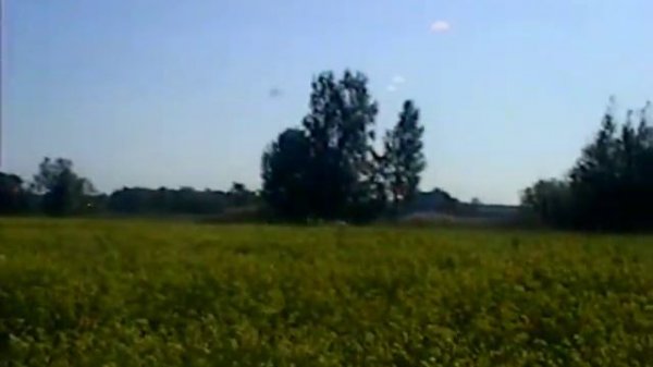 Барденево (1) аномальные зоны Bardenevo (anomal locations)