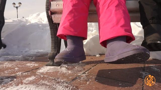 Зимняя коллекция Зебра смотреть онлайн