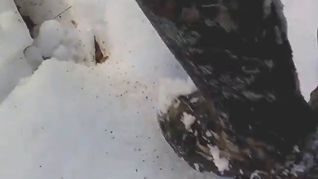 Hard woody snowing in my Muck Boots - Woody Pro (Tor™) (SBR-MOBU)VID 20150221 122401 смотреть онлайн