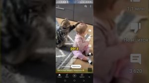 Вирусные видео