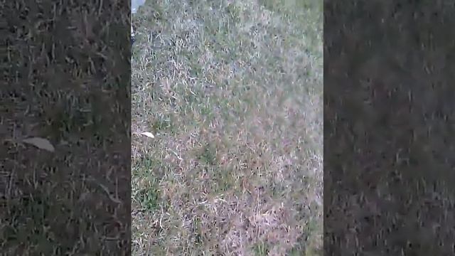 поймали школьника смотреть онлайн