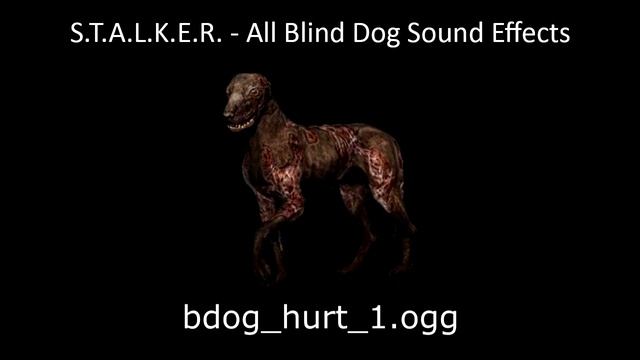 (S.T.A.L.K.E.R. SFX) - All Blind Dog Sound Effects смотреть онлайн