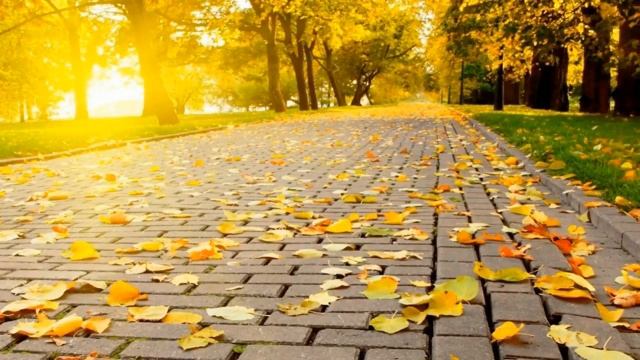 Relaxing Piano Music for Stress Relief, Relaxation ● Peaceful Ending ● Instrumental, Soothing Music смотреть онлайн