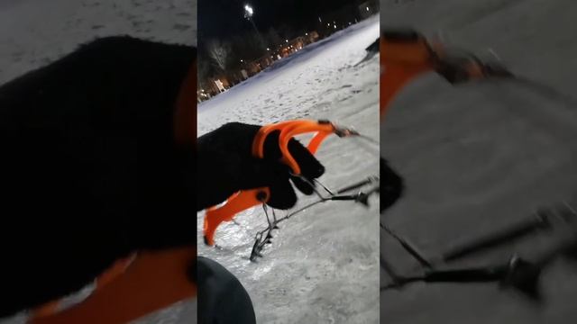 Обзор беговых кошек Nortec.